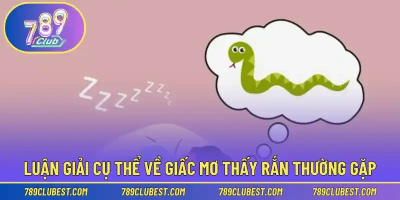 Luận giải cụ thể về giấc mơ thấy rắn thường gặp