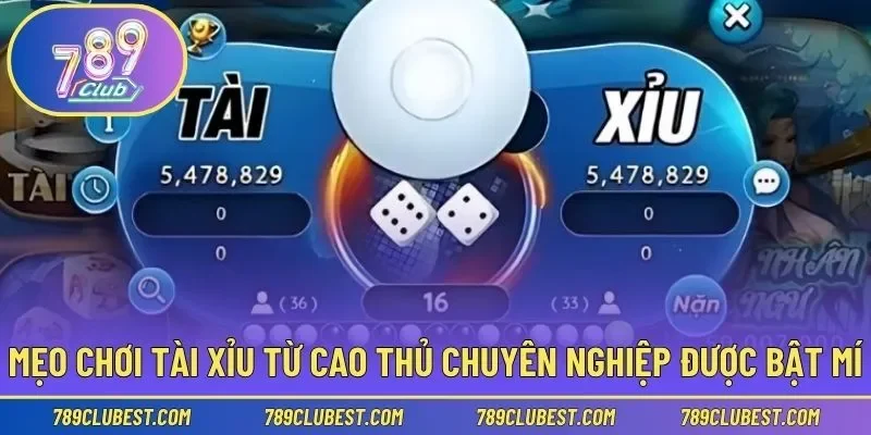 Mẹo chơi tài xỉu hiệu quả mà bạn cần phải biết