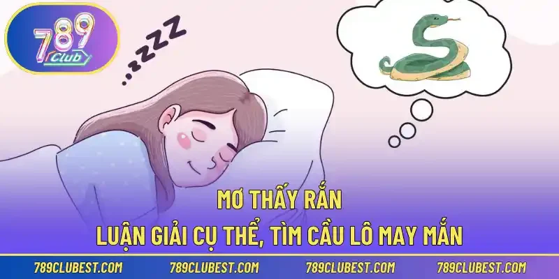 Mơ Thấy Rắn – Luận Giải Cụ Thể, Tìm Cầu Lô May Mắn
