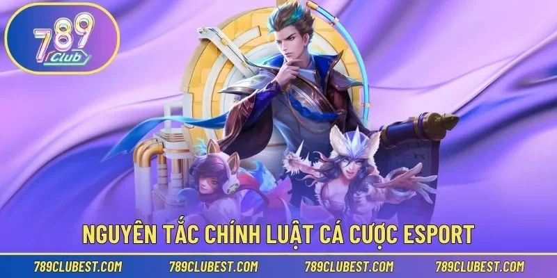 Nguyên tắc chính luật cá cược Esport cần tuân theo