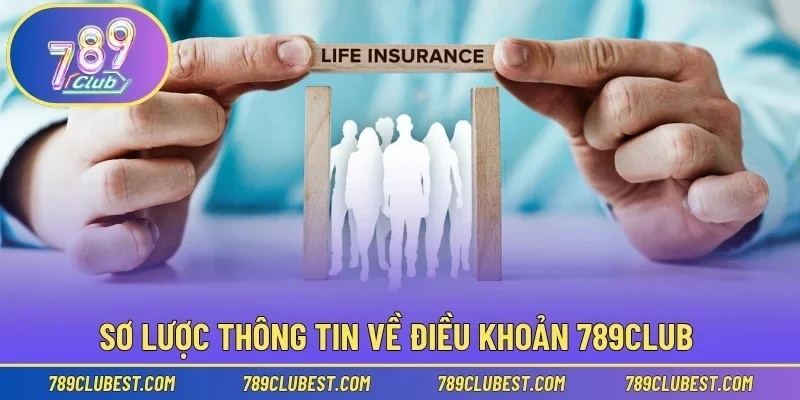 Sơ lược thông tin về điều khoản của 789club
