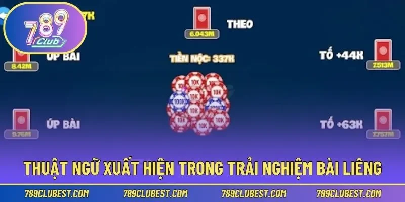 Những thuật ngữ xuất hiện trong ván đấu bài ấn tượng