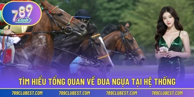Tìm hiểu tổng quan về đua ngựa tại hệ thống